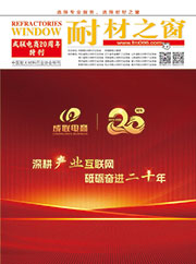 成聯(lián)電商20周年特刊雜志 